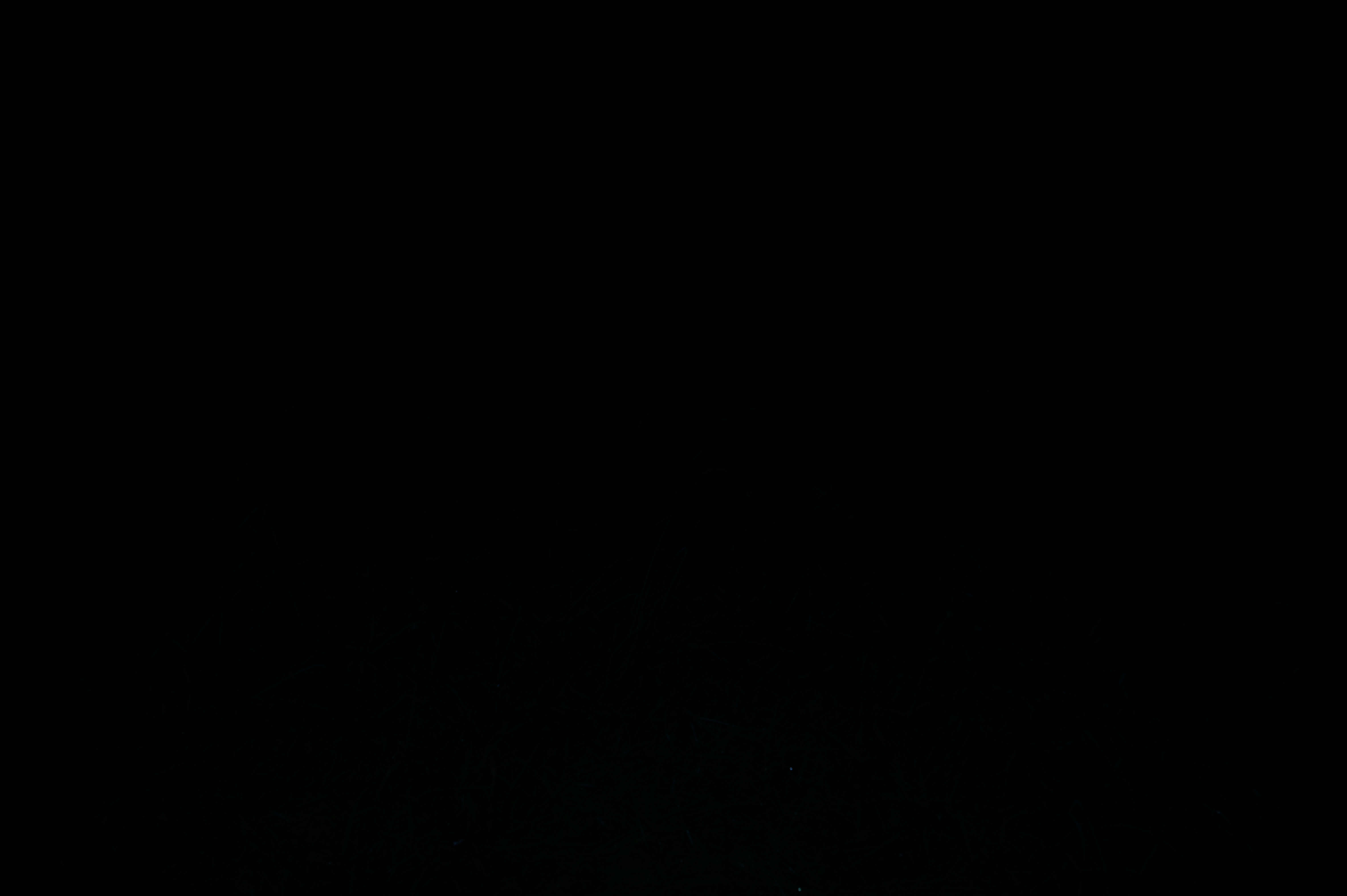 2025/07/09-14 - trip/DSC_0295.JPG